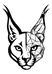 Qairox — geometric lynx logo mark
