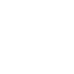 Qairox — geometric lynx logo mark