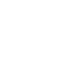 Qairox — geometric lynx logo mark